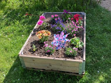 Blomster